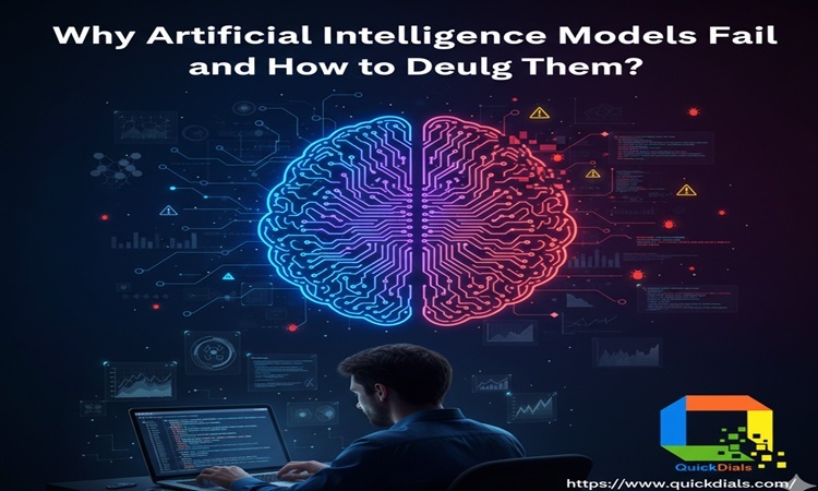 Why AI Models Fail and How to Debug Them Effectively